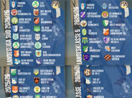 Die Ligen unsere 4 Mannschaften